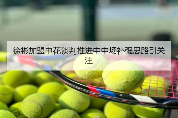 徐彬加盟申花谈判推进中中场补强思路引关注