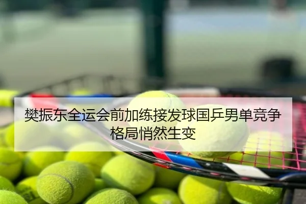 樊振东全运会前加练接发球国乒男单竞争格局悄然生变